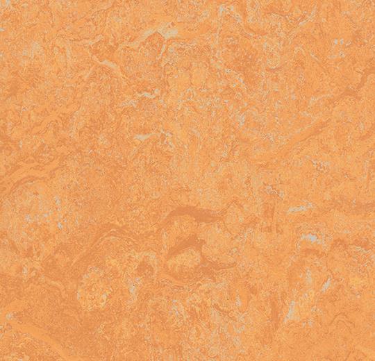 1505440186113543.jpg 65620_83208.jpg