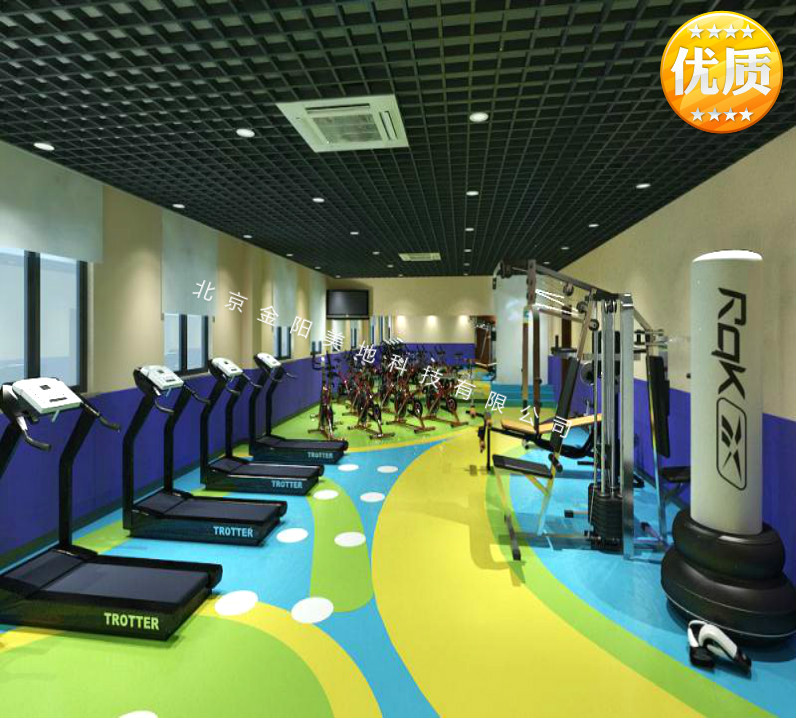 個性定制健身房地膠